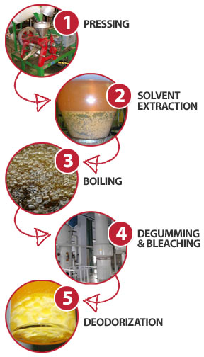 Vegetable Oil